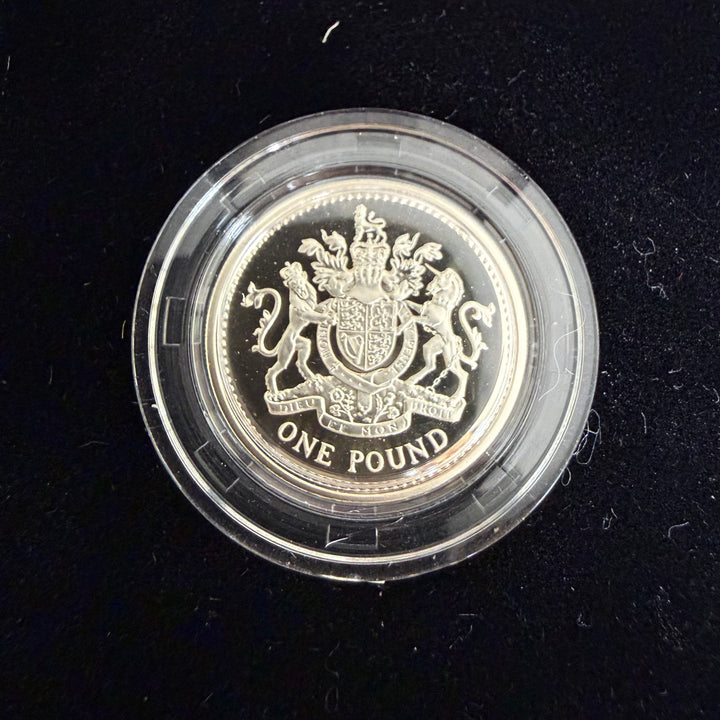 1 Sterlingsilbermünze 1993 Royal Mint