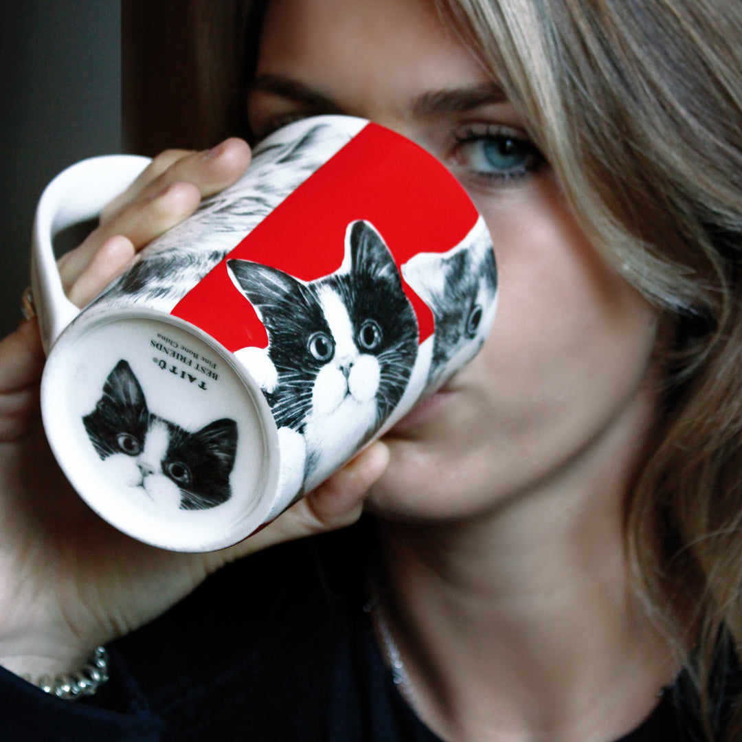Tait ⁇  mug Cats Best Friends colección porcelana fine bone china 14-1-4 CATS